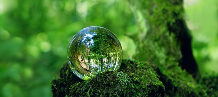 Crystal,Ball,On,Mossy,Tree,Stump,In,Forest,,Abstract,Natural